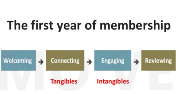 First Year Membership Journey | Hight Performance Group